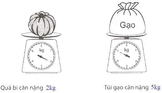 Giải Cùng em học Toán lớp 2 tập 1 - trang 25, 26 - Tuần 7 - Tiết 2 2