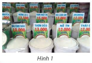 Giải mục 1 trang 11, 12 SGK Toán 10 tập 2 - Chân trời sáng tạo 1 1