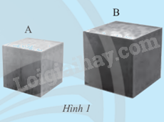 Giải mục 1 trang 42, 43 SGK Toán 9 tập 1 - Chân trời sáng tạo 0 1