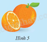 Giải mục 1 trang 93, 94, 95 SGK Toán 9 tập 2 - Chân trời sáng tạo 2 1