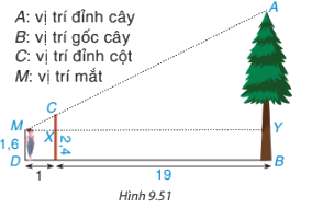 Giải mục 1 trang 98, 99, 100 SGK Toán 8 tập 2 - Kết nối tri thức 2 1