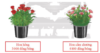 Giải mục 2 trang 38, 39 SGK Toán 8 tập 2 – Chân trời sáng tạo 3
