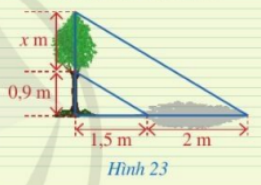 Giải mục 2 trang 60 SGK Toán 8 – Cánh diều 1