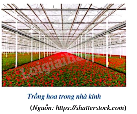 Giải mục 2 trang 63, 64 SGK Toán 9 tập 2 - Cánh diều 1
