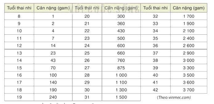 Giải mục 2 trang 94, 95 SGK Toán 8 tập 1 - Kết nối tri thức 1 1