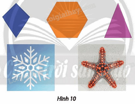 Giải mục 3 trang 17, 18 Chuyên đề học tập Toán 11 - Chân trời sáng tạo 1