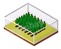 Giải mục 3 trang 22, 23 SGK Toán 9 tập 2 - Kết nối tri thức 2 1