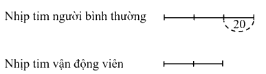 Giải phần C. Vận dụng phát triển trang 39 Bài tập phát triển năng lực Toán 4 tập 2 1