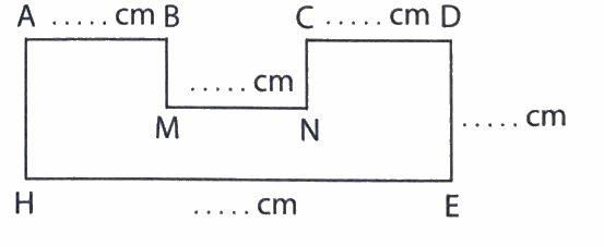 Giải phần C. Vận dụng, phát triển trang 43 Bài tập phát triển năng lực Toán 4 1 1