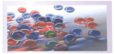 Hoạt động 1 trang 60 Tài liệu dạy – học toán 6 tập 2 1