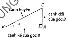 Lý thuyết Các tỉ số lượng giác của góc nhọn Toán 9 Cùng khám phá 1