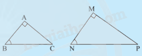 Lý thuyết Các trường hợp đồng dạng của hai tam giác vuông SGK Toán 8 - Chân trời sáng tạo 1
