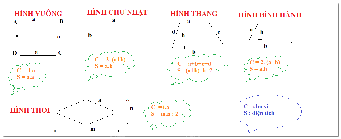 Lý thuyết Chu vi và diện tích của một số tứ giác đã học Toán 6 KNTT với cuộc sống 6