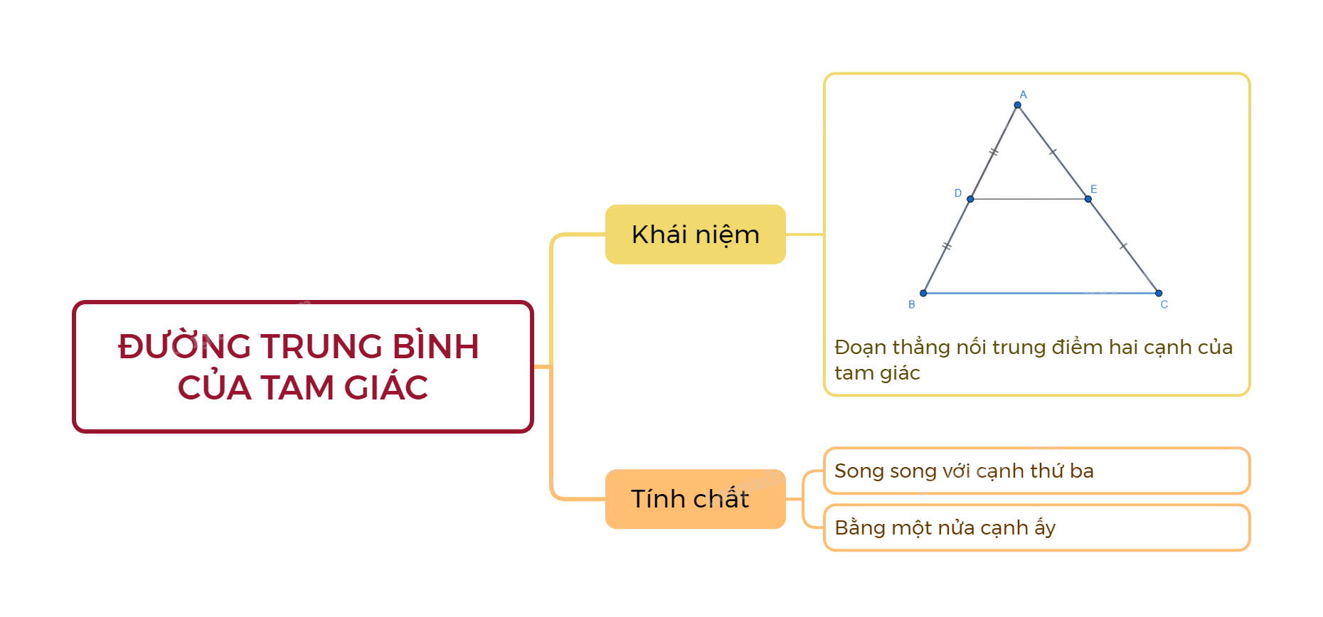 Lý thuyết Đường trung bình của tam giác SGK Toán 8 - Chân trời sáng tạo 3