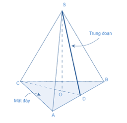 Lý thuyết Hình chóp tam giác đều SGK Toán 8 - Cánh diều 2