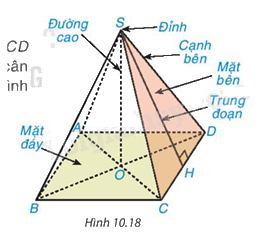 Lý thuyết Hình chóp tứ giác đều SGK Toán 8 - Kết nối tri thức 1