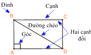 Lý thuyết Hình chữ nhật. Hình thoi. Hình bình hành. Hình thang cân Toán 6 KNTT với cuộc sống 1