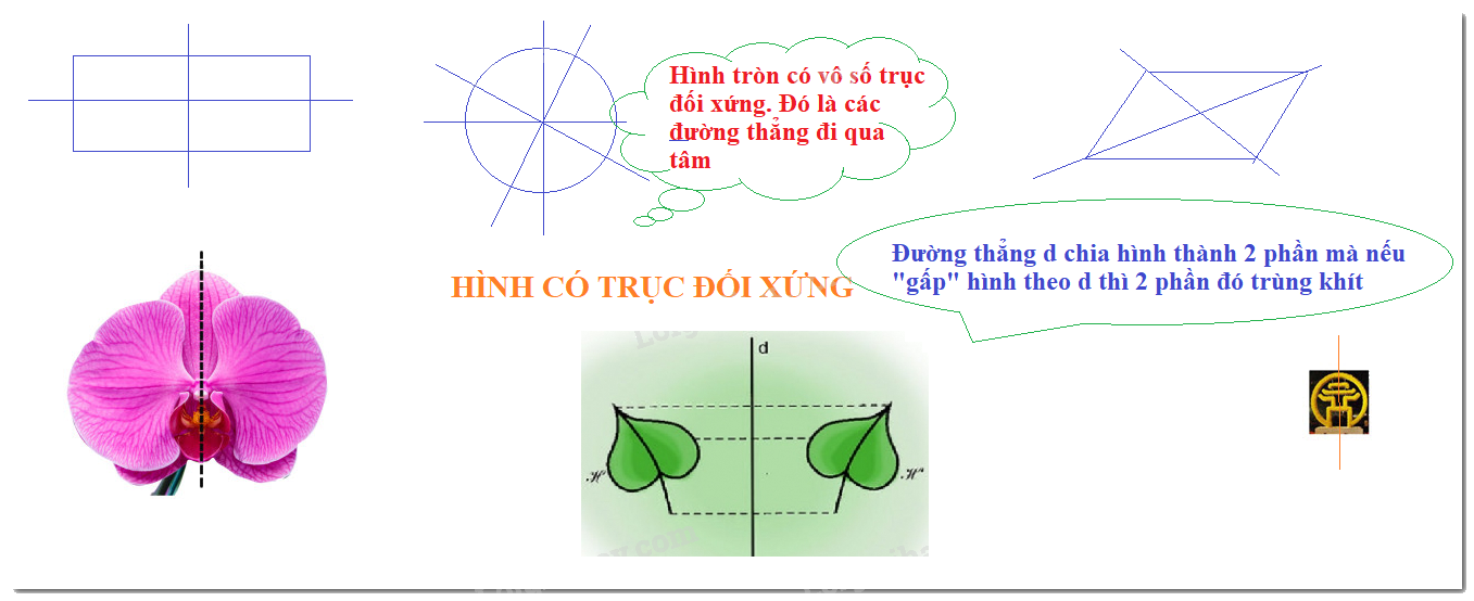 Lý thuyết Hình có trục đối xứng Toán 6 Chân trời sáng tạo 10