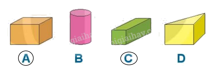 Toán lớp 1 trang 100 bài 40: Ôn tập hình học và đo lường - SGK Kết nối tri thức 0 4