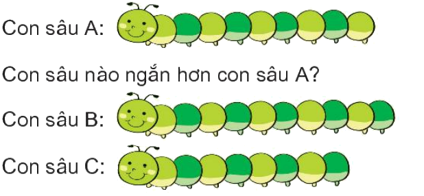 Toán lớp 1 trang 28 - Bài 25: Dài hơn, ngắn hơn - SGK Kết nối tri thức 1 1