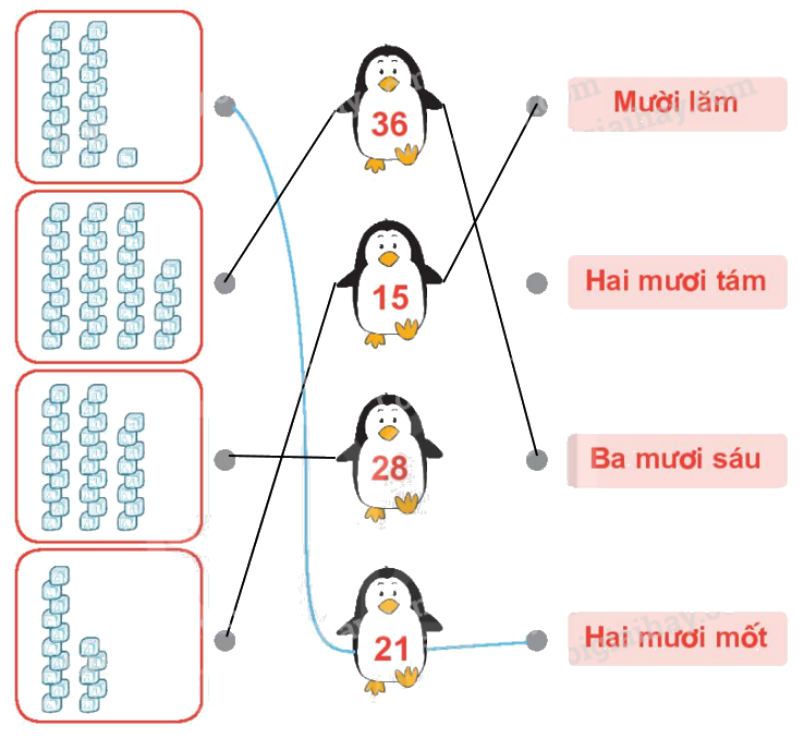 Toán lớp 1 trang 4 - Bài 21: Số có hai chữ số - SGK Kết nối tri thức 14 2