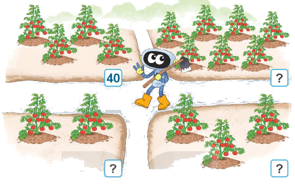 Toán lớp 1 trang 4 - Bài 21: Số có hai chữ số - SGK Kết nối tri thức 7 1