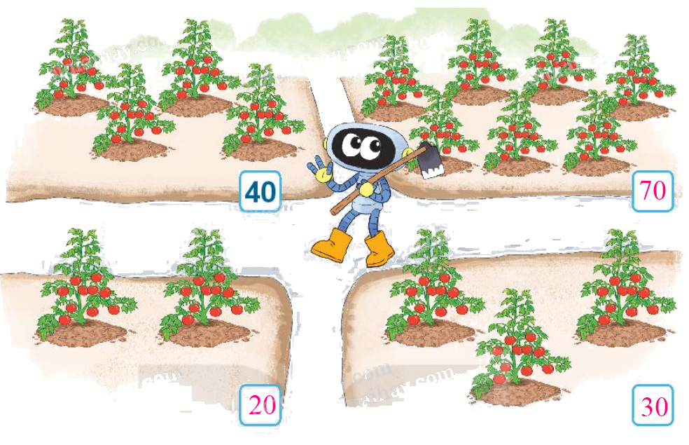 Toán lớp 1 trang 4 - Bài 21: Số có hai chữ số - SGK Kết nối tri thức 7 2