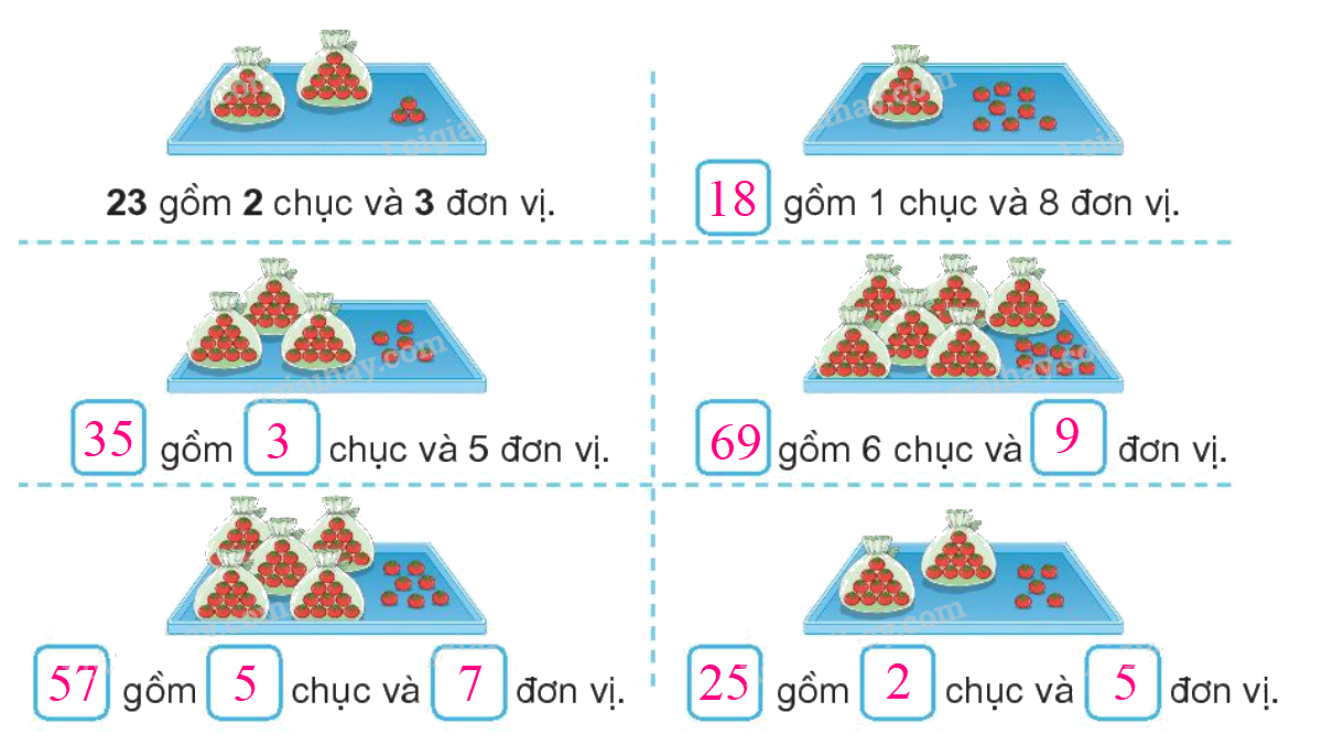 Toán lớp 1 trang 4 - Bài 21: Số có hai chữ số - SGK Kết nối tri thức 9 2