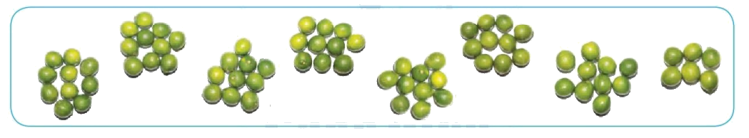 Toán lớp 1 trang 71 - Các số có hai chữ số (Từ 71 đến 99) - SGK Cánh diều 2 1