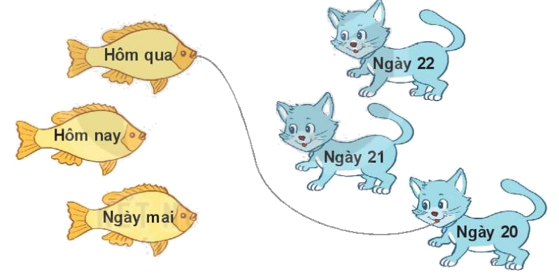 Toán lớp 1 trang 80 bài 36: Thực hành xem lịch và giờ - SGK Kết nối tri thức 1 2