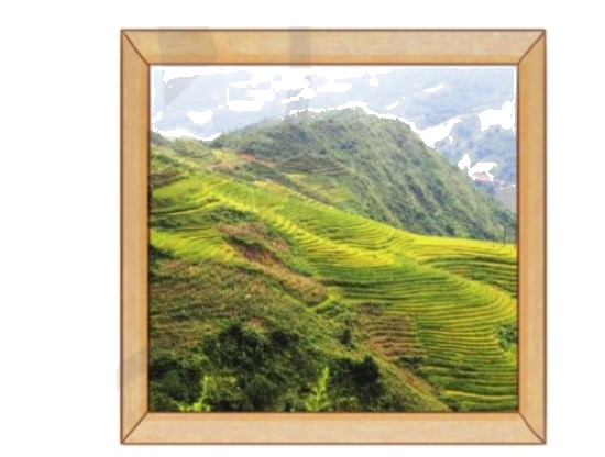 Toán lớp 3 trang 100 - Em ôn lại những gì đã học - SGK Cánh diều 2 1