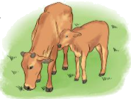 Toán lớp 3 trang 111 - Luyện tập chung - SGK Kết nối tri thức 2 1