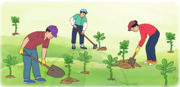 Toán lớp 3 trang 117 - Ôn tập về phép nhân, phép chia trong phạm vi 1 000 - SGK Cánh diều 3 1