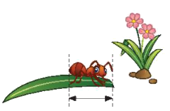 Toán lớp 3 trang 21 - Mi-li-mét - SGK Chân trời sáng tạo 4 1