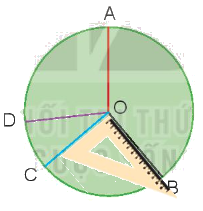Toán lớp 3 trang 65 - Luyện tập chung - SGK Kết nối tri thức 4 2