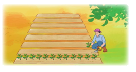 Toán lớp 3 trang 79 - Tìm thành phần chưa biết của phép tính (tiếp theo) - SGK Cánh diều 3 1