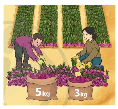 Toán lớp 4 trang 116 - Bài 52: Ôn tập chung - SGK Cánh diều 5 1