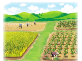 Toán lớp 4 trang 22 - Bài 61: So sánh hai phân số cùng mẫu số - SGK Cánh diều 3 1