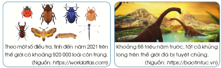 Toán lớp 4 trang 22 - Bài 8: Luyện tập - SGK Cánh diều 3 1