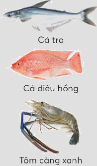 Toán lớp 4 trang 60 - Bài 25: Triệu - lớp triệu - SGK Chân trời sáng tạo 6 1