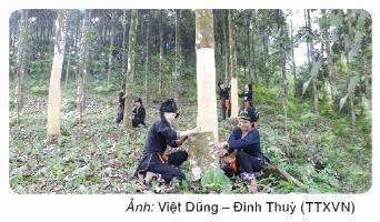 Toán lớp 4 trang 78 - Bài 151: Ôn tập chủ đề 5 - SGK Bình Minh 3 1