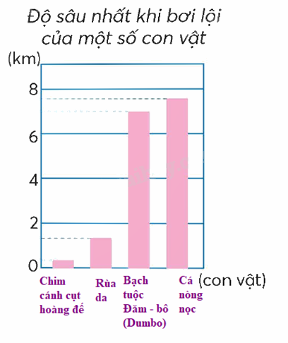 Toán lớp 5 Bài 23. Em làm được những gì? - SGK chân trời sáng tạo 9 2
