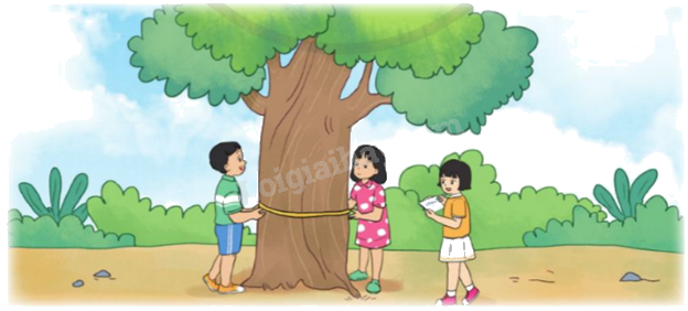 Toán lớp 5 Bài 55. Chu vi hình tròn - SGK cánh diều 4 1