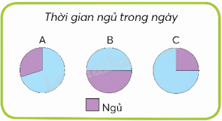 Toán lớp 5 Bài 62. Biểu đồ hình quạt - SGK chân trời sáng tạo 2 1