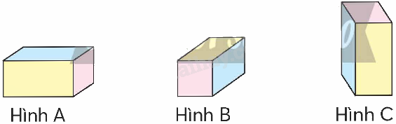 Toán lớp 5 Bài 64. Hình hộp chữ nhật, hình lập phương - SGK chân trời sáng tạo 1 1