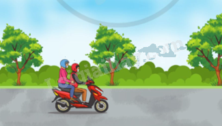 Toán lớp 5 Bài 73. Luyện tập - SGK cánh diều 1 1