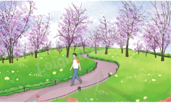 Toán lớp 5 Bài 74. Quãng đường, thời gian trong chuyển động đều - SGK cánh diều 4