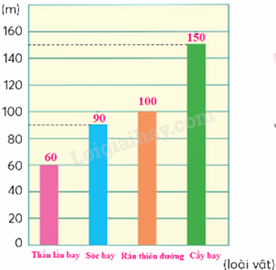 Toán lớp 5 Bài 95. Ôn tập độ dài, khối lượng, dung tích, nhiệt độ, tiền Việt Nam - SGK chân trời sáng tạo 8 3