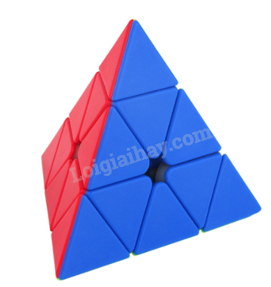 Trả lời Hoạt động 1 trang 78 SGK Toán 6 Kết nối tri thức với cuộc sống 4
