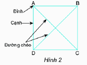 Trả lời Thực hành 1 trang 75 SGK Toán 6 Chân trời sáng tạo 1